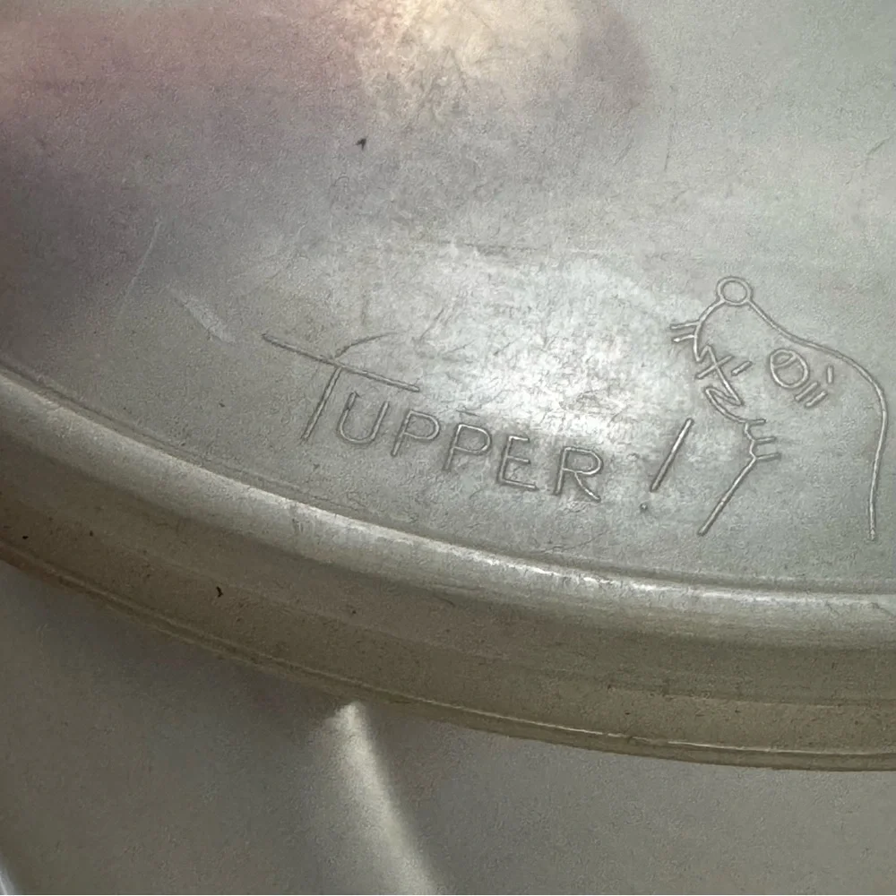 Vintage Tupperware Suzette 3 Section Divided Relish Condiment Tray #608 Complete